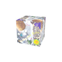 Новогодняя ночь Салют купить в Симферополе | simferopol.salutsklad.ru