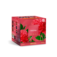 Пионы Салют купить в Симферополе | simferopol.salutsklad.ru