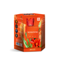 Тюльпаны Салют купить в Симферополе | simferopol.salutsklad.ru